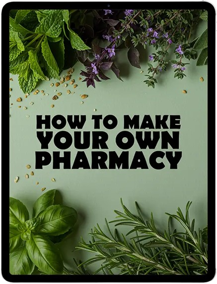 David’s Shield Bonus2